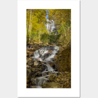 Amicalola Falls Posters and Art